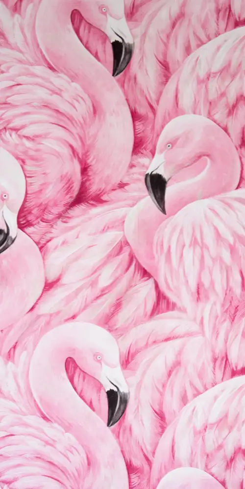 粉红色火烈鸟绘画