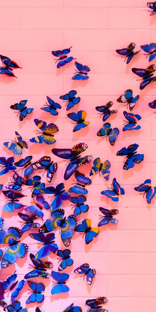 蓝色蝴蝶粉红色背景