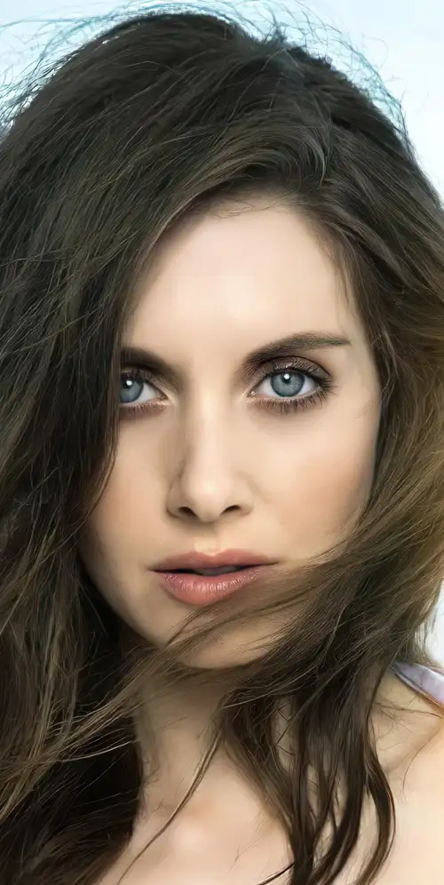 艾莉森·布里美国女演员