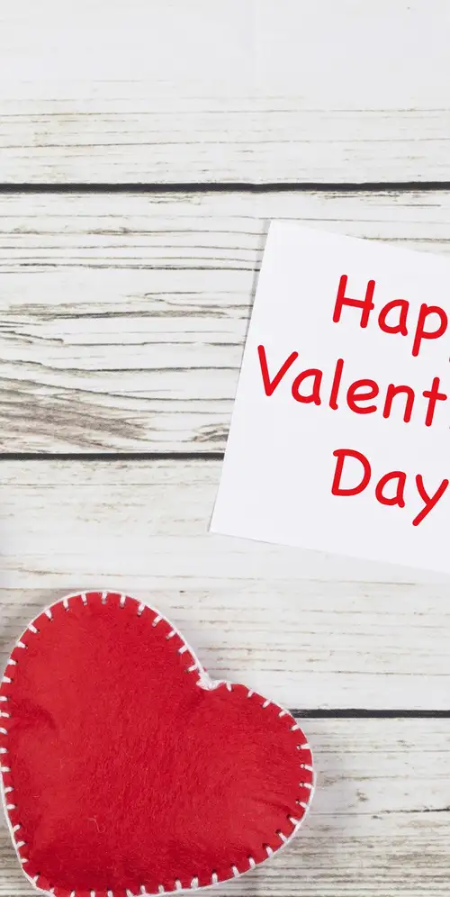 情人节快乐'情人节红心