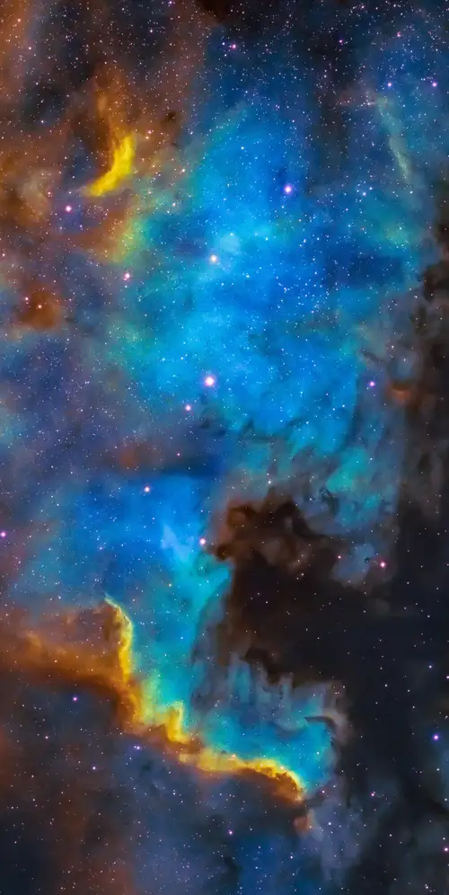 鹈鹕星云天鹅座