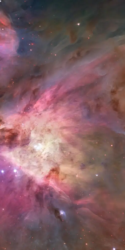 猎户座星云天文学