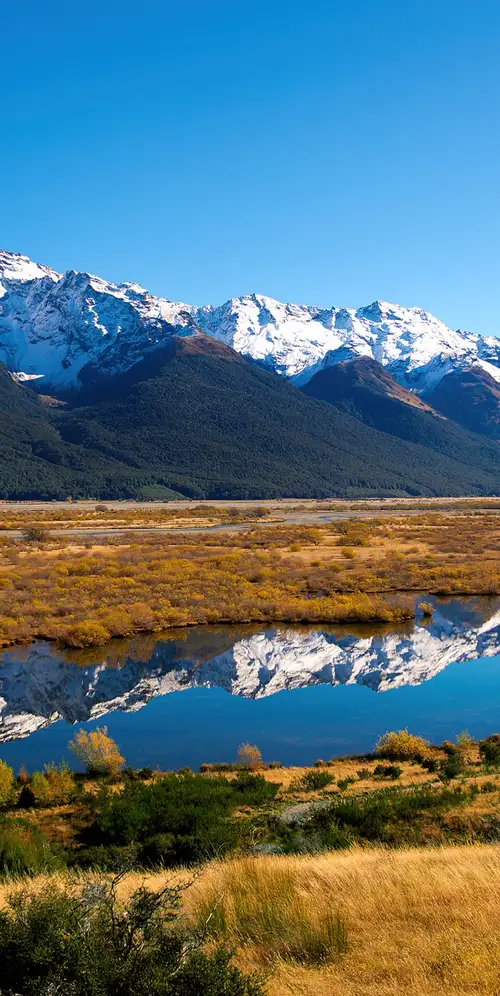 新西兰瑞文戴尔以南