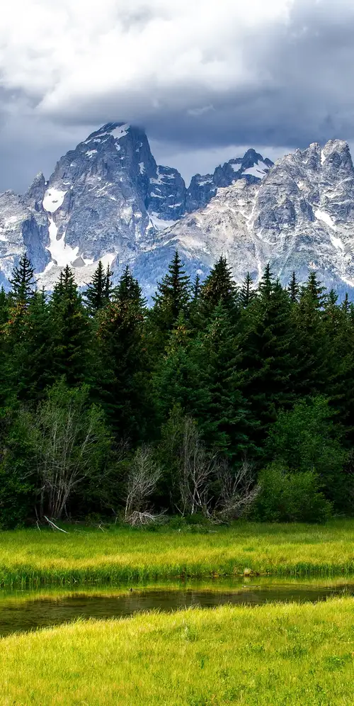 大提顿国家公园绿地