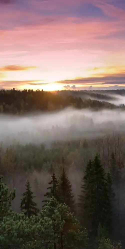 芬兰诺克斯国家公园