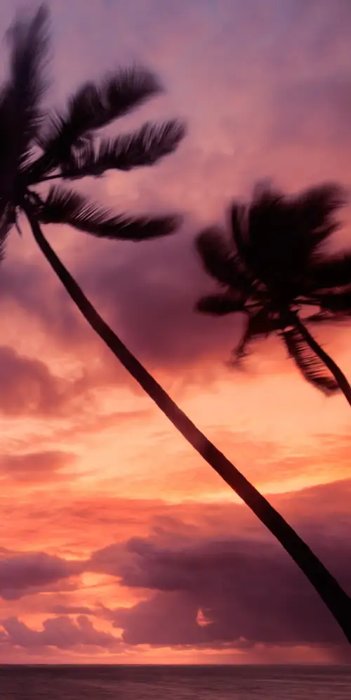 蓬塔卡纳多米尼加共和国