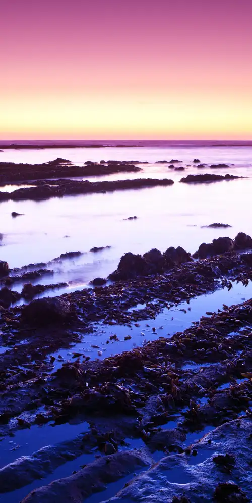 加利福尼亚州菲茨杰拉德海洋保护区