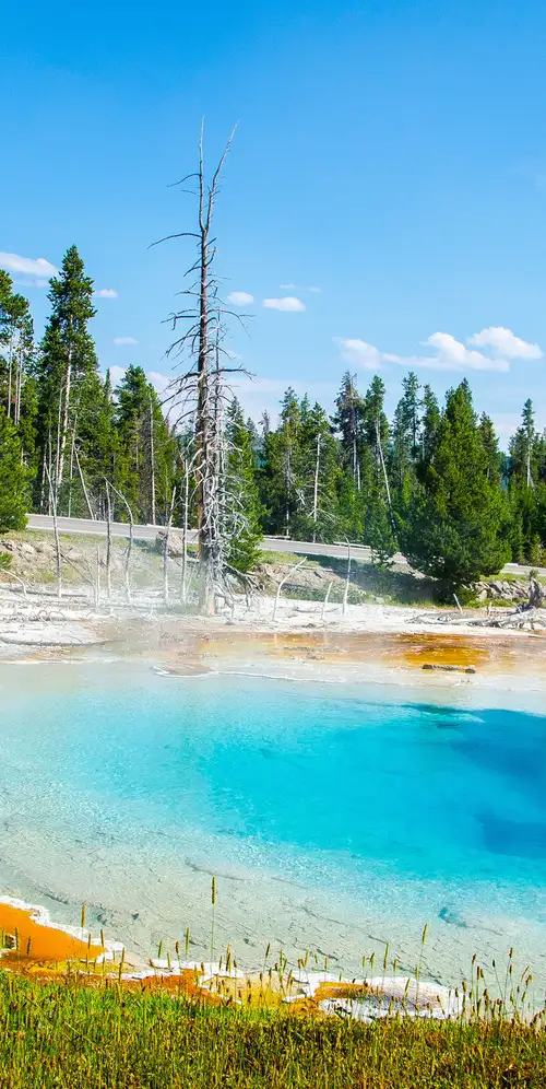 泥泞的黄石国家公园