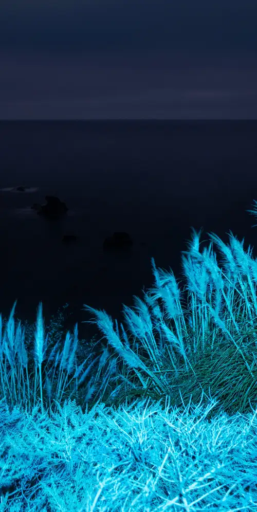 macOS大苏尔红外