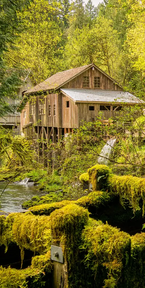 雪松溪灰磨坊林地