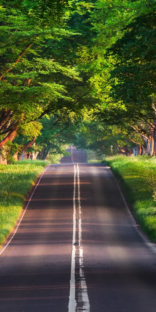 布兰福德路空路