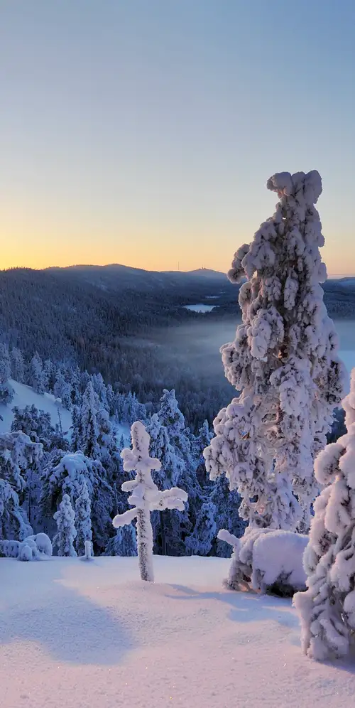 Konttainen沦陷芬兰