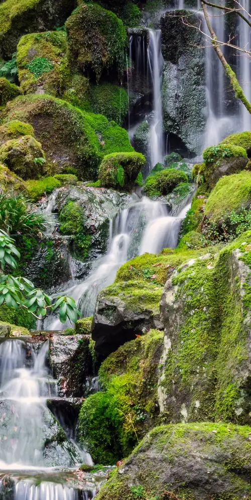 波特兰日本花园瀑布