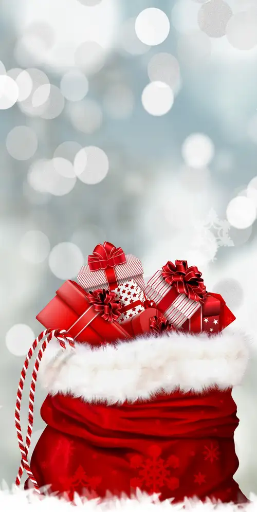 圣诞老人礼物's包