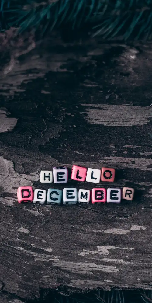 你好，十二月骰子