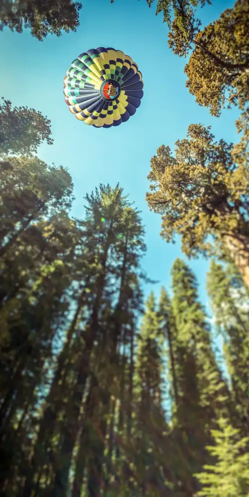 热气球红杉国家公园