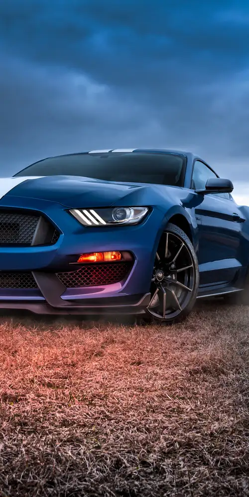 福特野马谢尔比GT500肌肉车