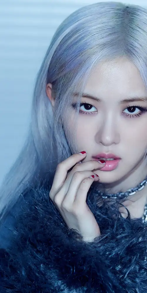 玫瑰（黑粉色）韩国歌手