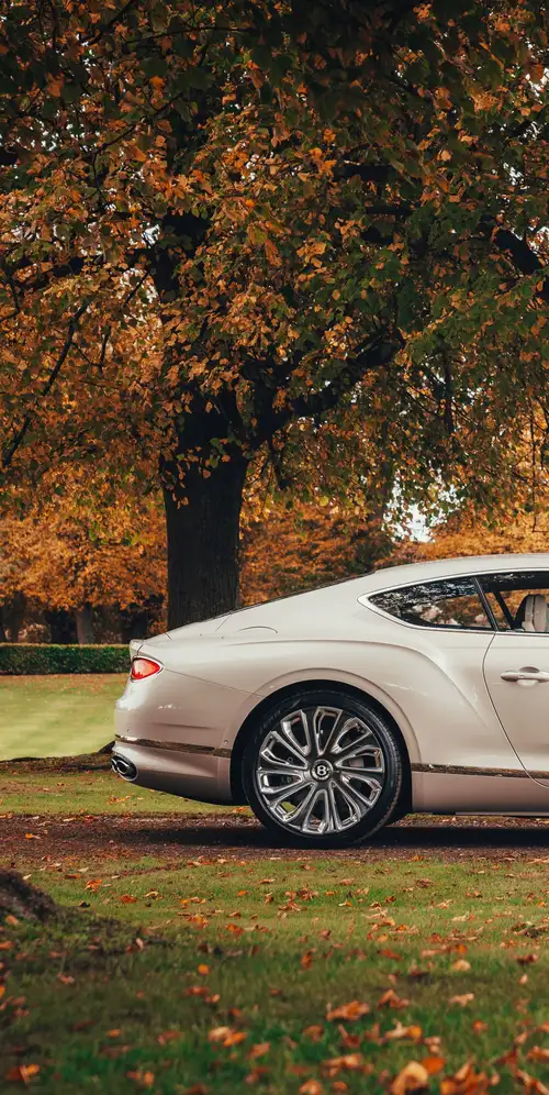 宾利欧陆GT Mulliner