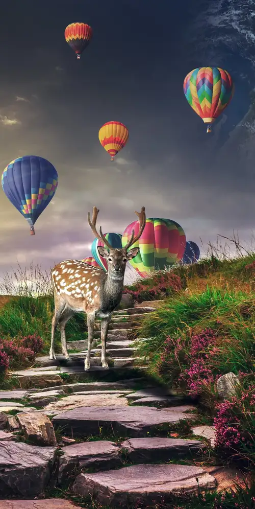 鹿热气球