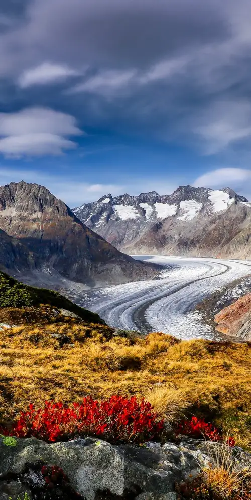 阿莱奇冰川阿尔卑斯山脉