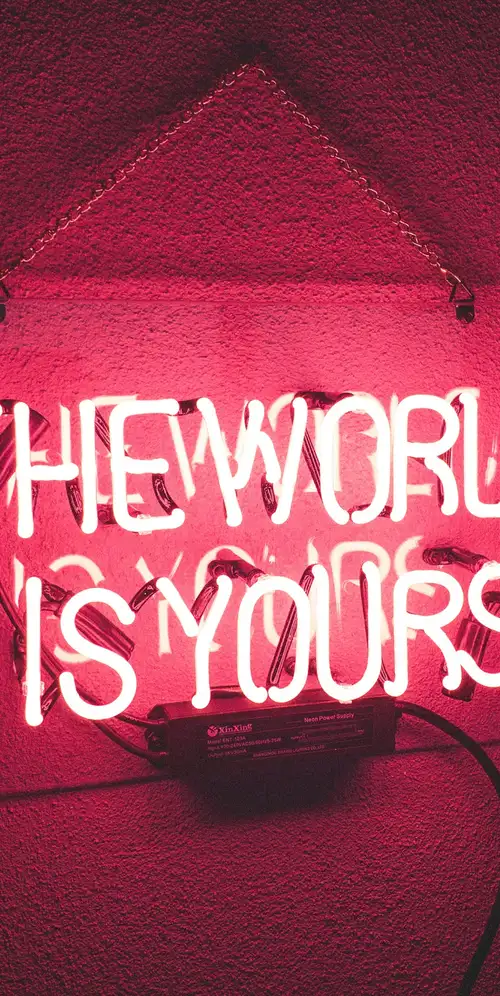 世界是你的霓虹灯