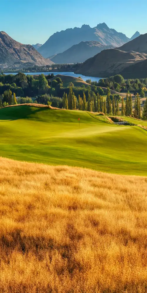 高尔夫球场景观