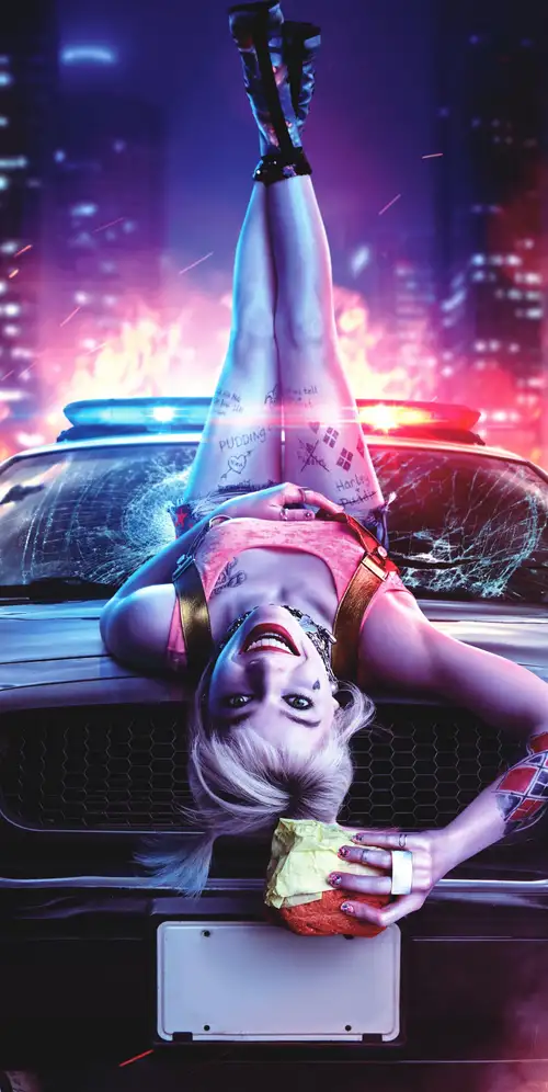 哈利·奎因猛禽