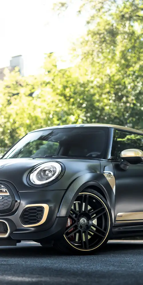 曼哈特迷你GP F350 2020