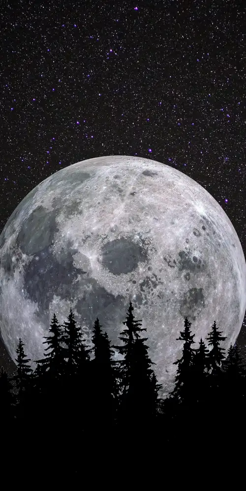 满月森林