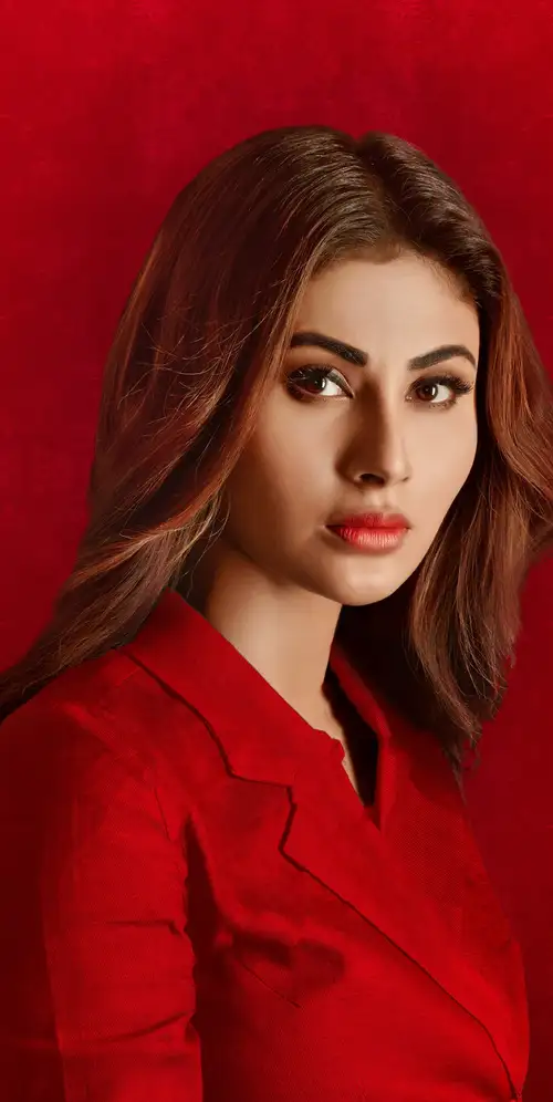 穆尼·罗伊肖像iPad