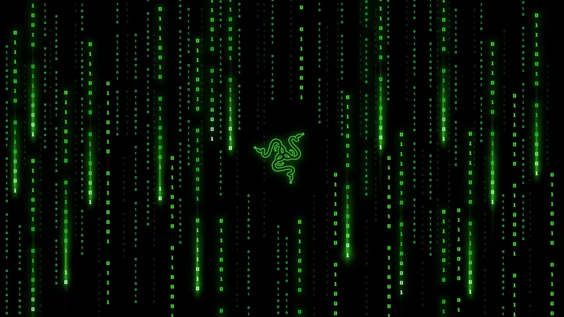 雷蛇矩阵下降码