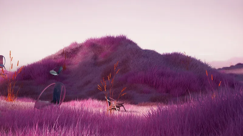 薰衣草田紫色美学