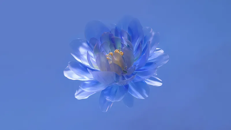 抽象花蓝色美学