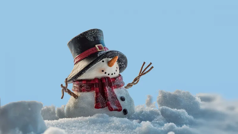 白雪覆盖的雪人