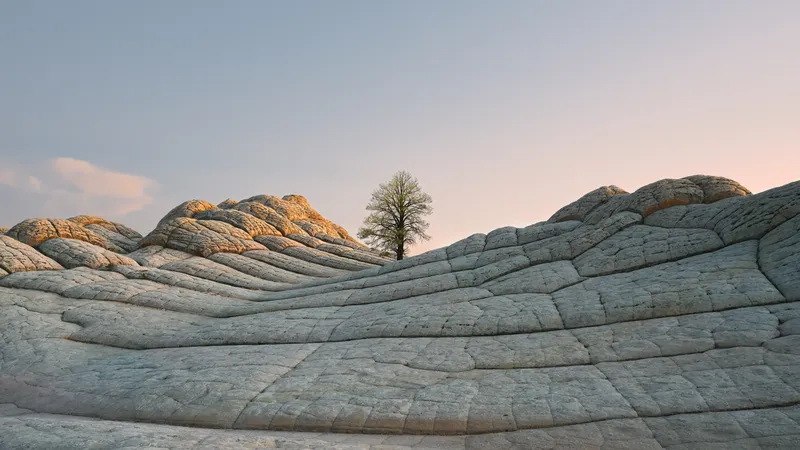 macOS大苏尔日光