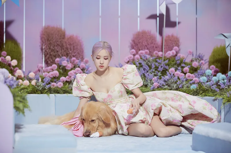 玫瑰黑粉色冰淇淋